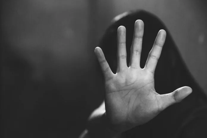 Competent institutions to act urgently and efficiently in cases of domestic violence