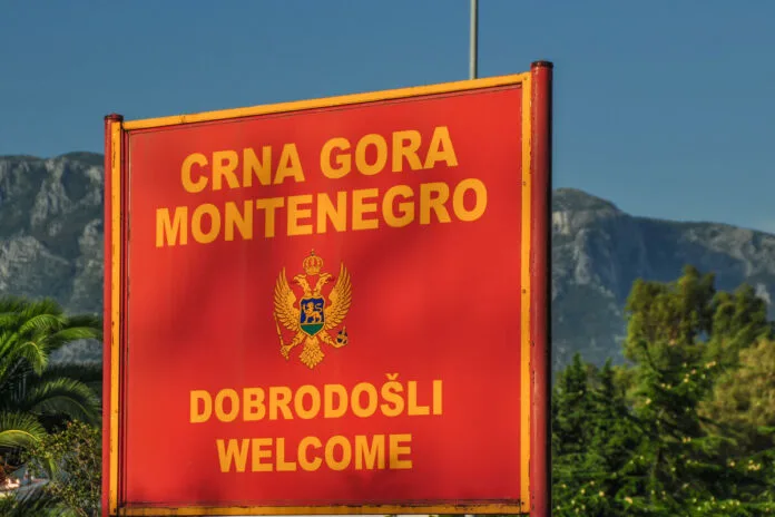Gradual harmonization of visa policy in order to protect the economic interests of the state
