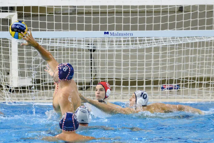 Olympiakos roared through Kotor, Primorac can think about the Eurocup