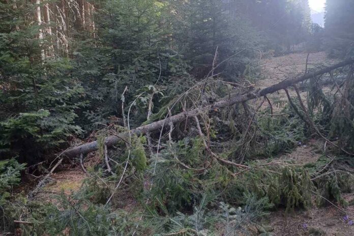 Network outages due to storms in the north, teams on the ground