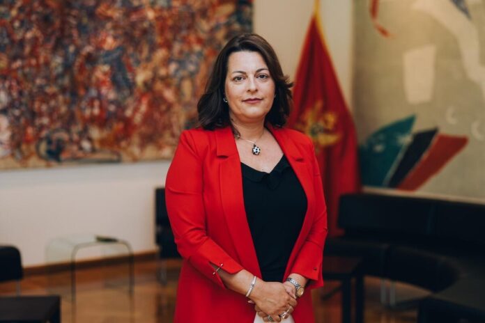 The Ministry of Culture and Media welcomed Šćepanović's decision to review the merits of the complaint against Bran Mandić.