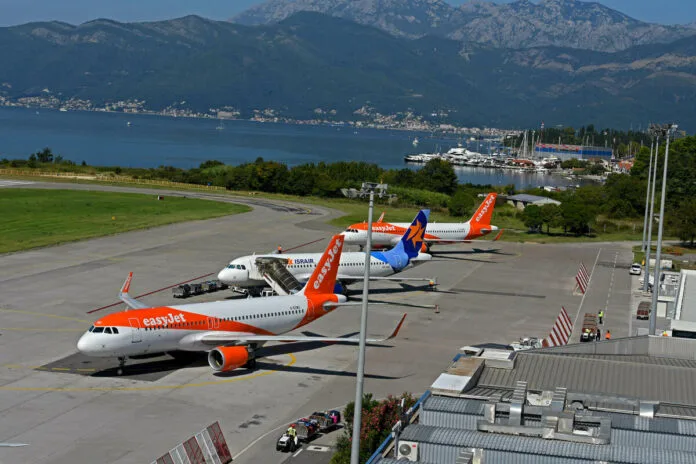 The number of plane and bird collisions at Tivat Airport is breaking records