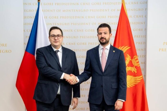 We greatly appreciate the continued support of the Czech Republic during Montenegro's accession negotiations with the EU