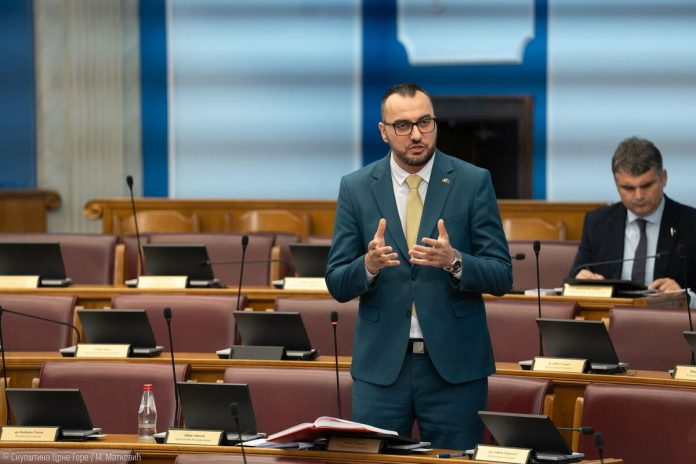 Stjepović submitted the Bill on Amendments to the Law on Protection and Rescue to the parliamentary procedure